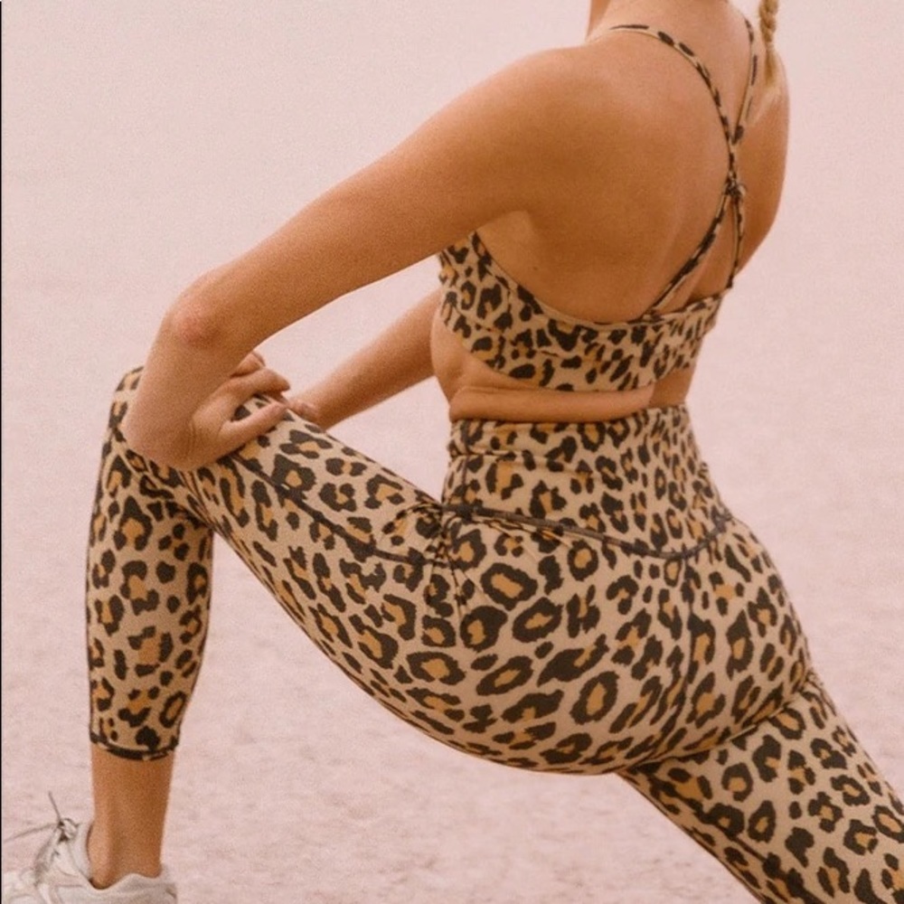 Wild cat sport sets